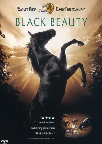 Black Beauty Modern