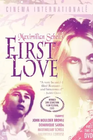 Direct From Manufacturer First Love