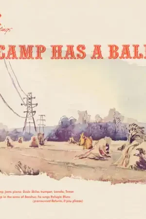 Camp Has a Ball Bulk Order