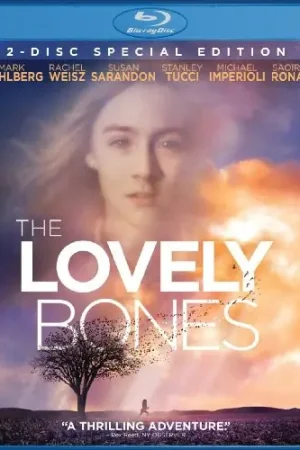 Budget The Lovely Bones
