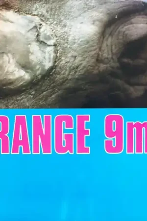 Trusted Brand Orange 9MM