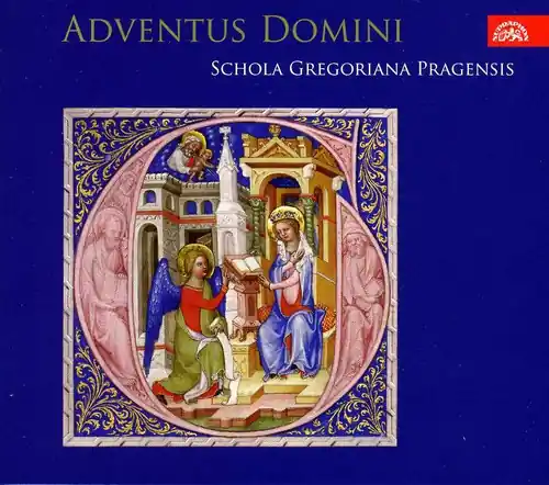 Professional Grade Adventus Domini