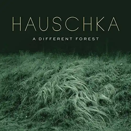 Different Forest Fan Favorite