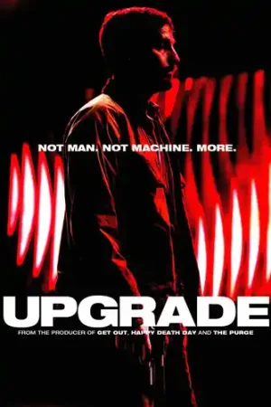 Authentic Upgrade
