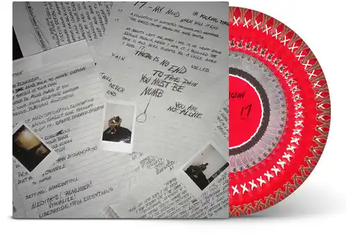 17 (Zoetrope Picture Disc Vinyl) [Limited Edition] [180 Gram] Don’t Miss Out