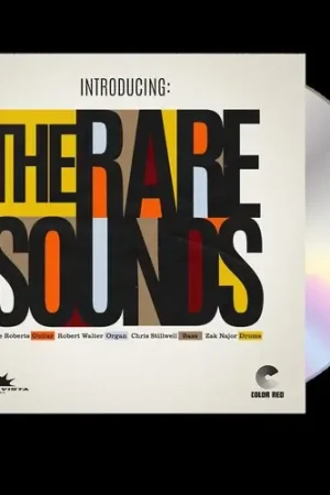 Viral Introducing: The Rare Sounds