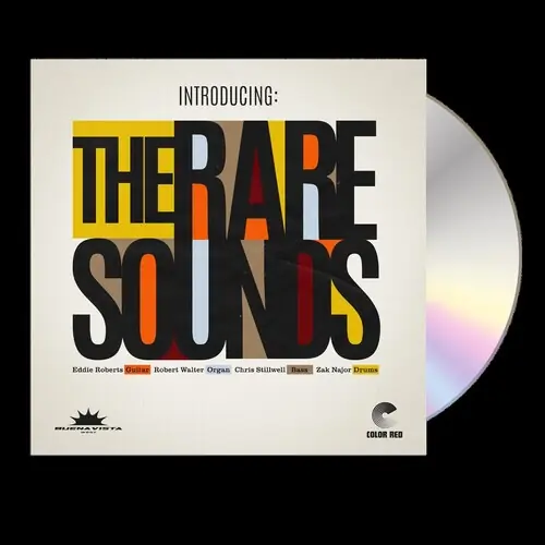 Viral Introducing: The Rare Sounds