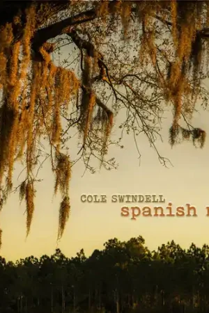 Top Rated Spanish Moss