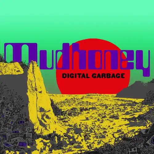 Budget Digital Garbage
