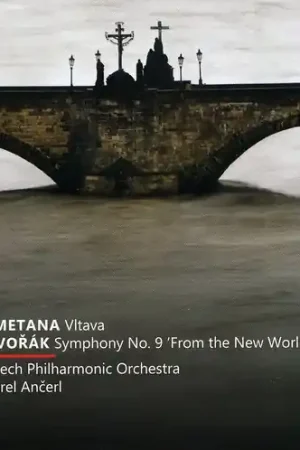 Vitava / Symphony No 9 High Quality