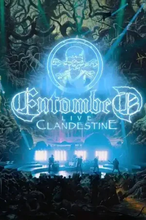 Luxury Clandestine - Live