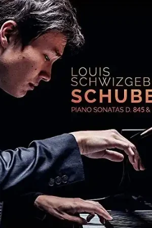 Wholesale Schubert: Piano Sonatas D845 And D958
