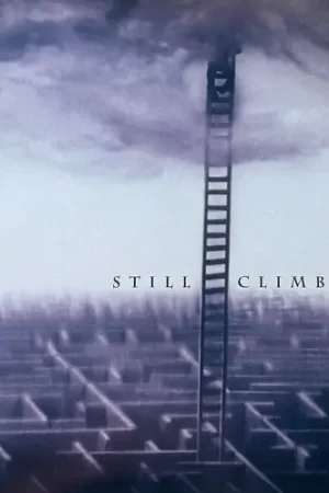 No Minimum Order Still Climbing (Uk)