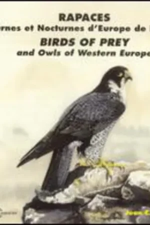 Birds of Prey & Owls of Western Europe Worldwide Shipping