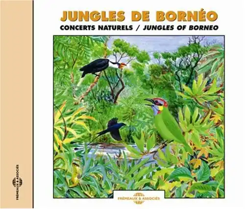 Hot Picks Jungles of Borneo