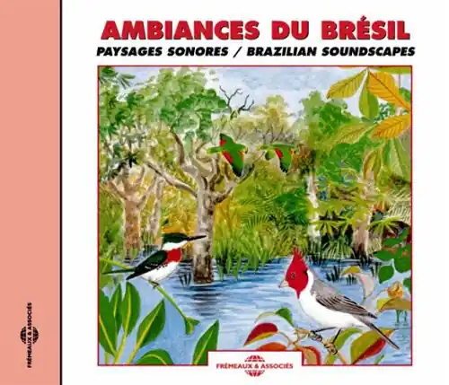 In Demand Brazilian Soundscapes