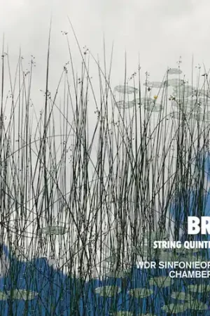 String Quintets & Octet Last Chance
