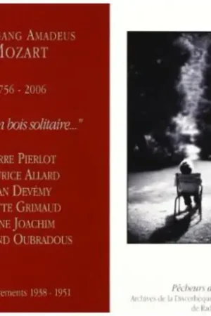 Worldwide Shipping Dans Un Bois Solitaire