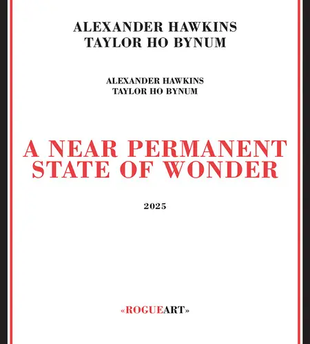 Near Permanent State Of Wonder Handmade