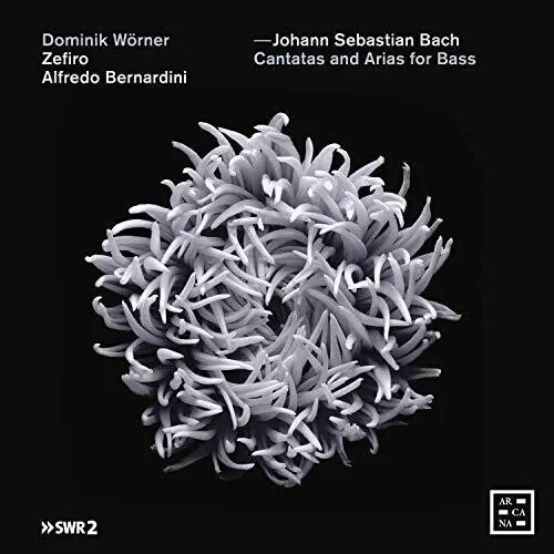 Cantatas & Arias for Bass Best Seller