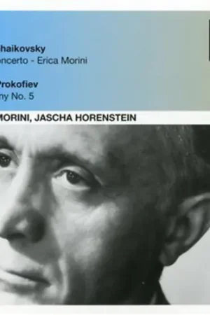 Violin Concerto: Erica Morini Hot Picks
