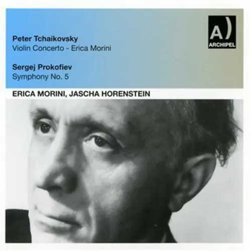 Violin Concerto: Erica Morini Hot Picks