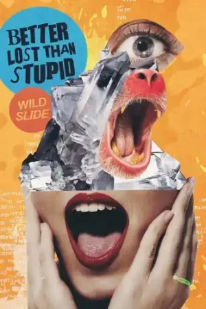 Wild Slide Trusted Brand