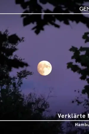 Viral Verklarte Nacht