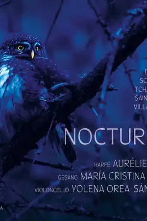 Nocturne Today Only