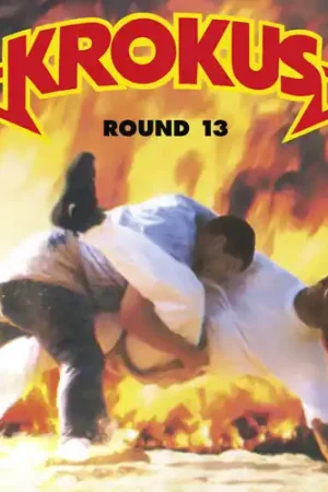 Discount Round 13