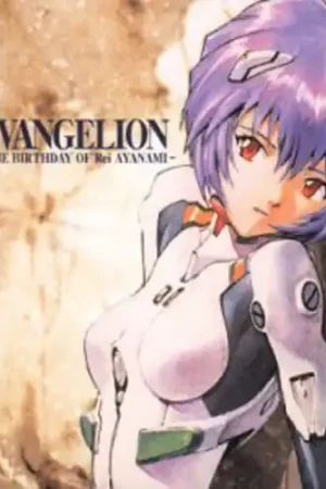 While Supplies Last Evangelion: The Birthday.. [Import]