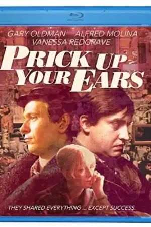 Viral Prick Up Your Ears