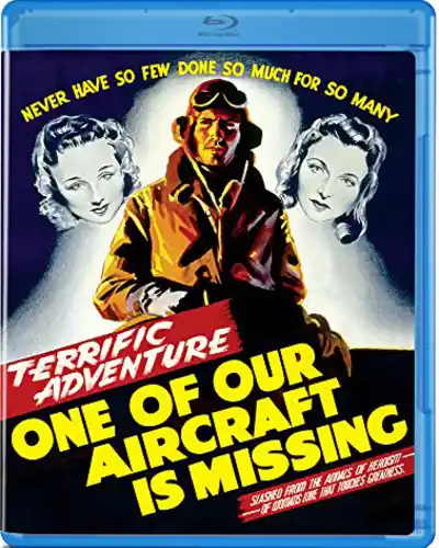 Free Shipping One of Our Aircraft Is Missing