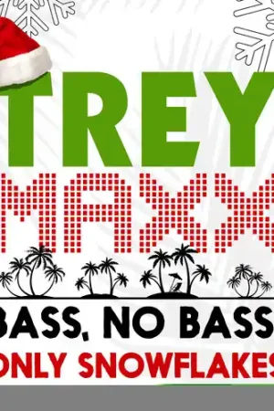 Bass, No Bass, Only Snowflakes (Mod) Save Now