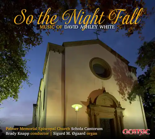 Bulk Order David Ashley White: So The Night Fall