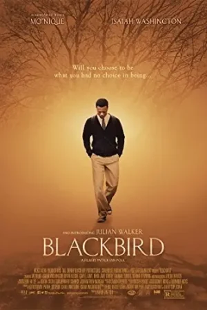Last Chance Blackbird