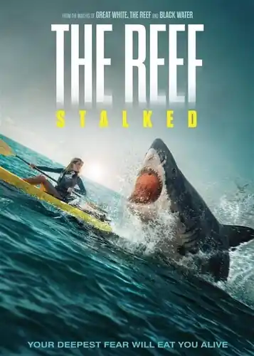 Clearance Reef: Stalked / (Sub)