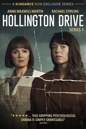Hollington: Series 1 Viral