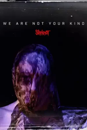 Top Pick We Are Not Your Kind [LP]