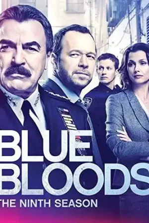 Special Offer Blue Bloods: The Ninth Season