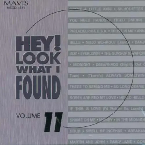 Hey!Look What I Found, Vol. 11 Wholesale