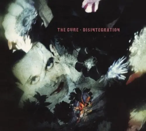 Factory Price Disintegration
