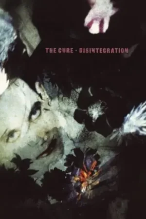 Buy Online Disintegration [180 Gram]
