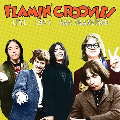 Live In San Francisco 1971 The Flamin' Groovies Top Pick