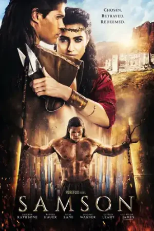 Budget Samson