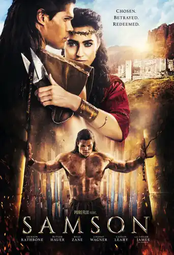 Budget Samson
