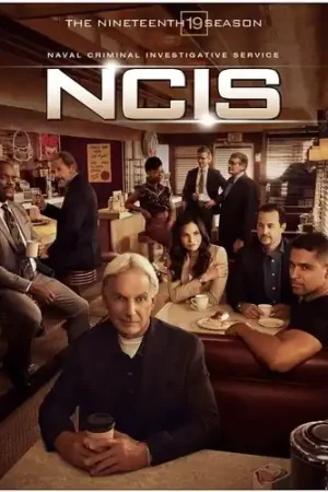 NCIS: Naval Criminal Investigative Service: The Nineteenth Season Free Shipping