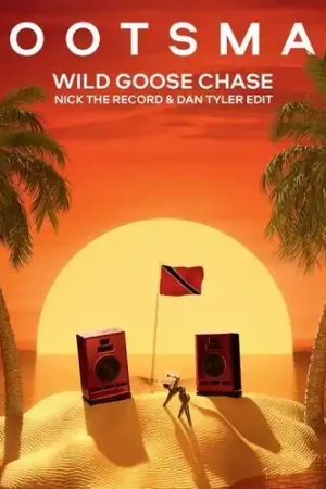 Wild Goose Chase (Nick The Record & Dan Tylder Place Order