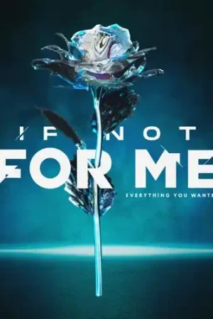 Hot Picks Everything You Wanted