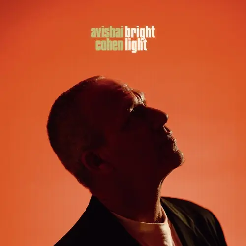 Direct From Manufacturer Brightlight